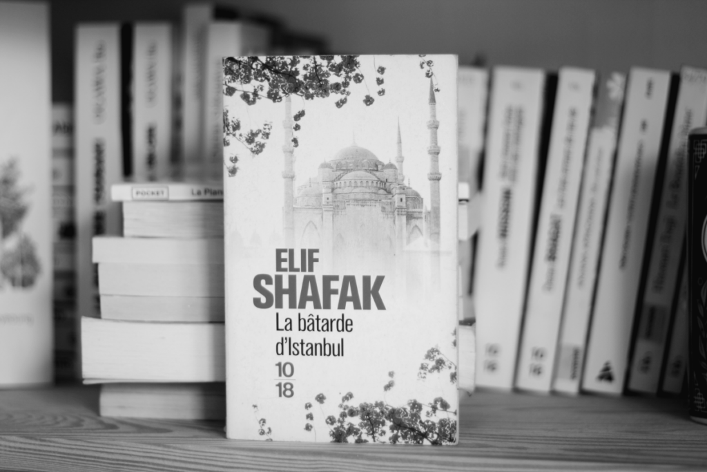 livre "la bâtarde d'Istanbul" d'Elif Shafak
