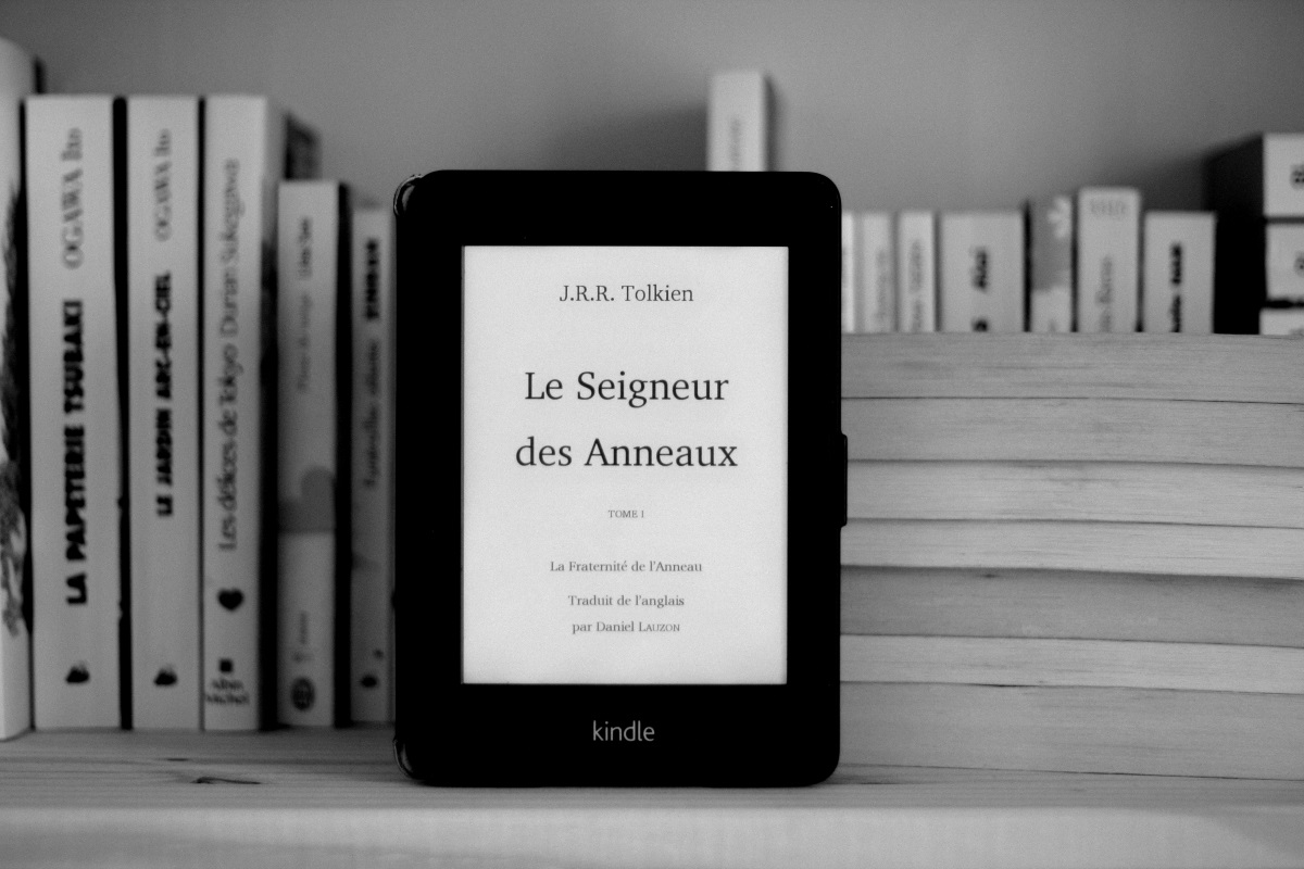 Mon épais de l’été, c’était Le seigneur des anneaux et je ne regrette aucune des 1400 pages que j’ai lues