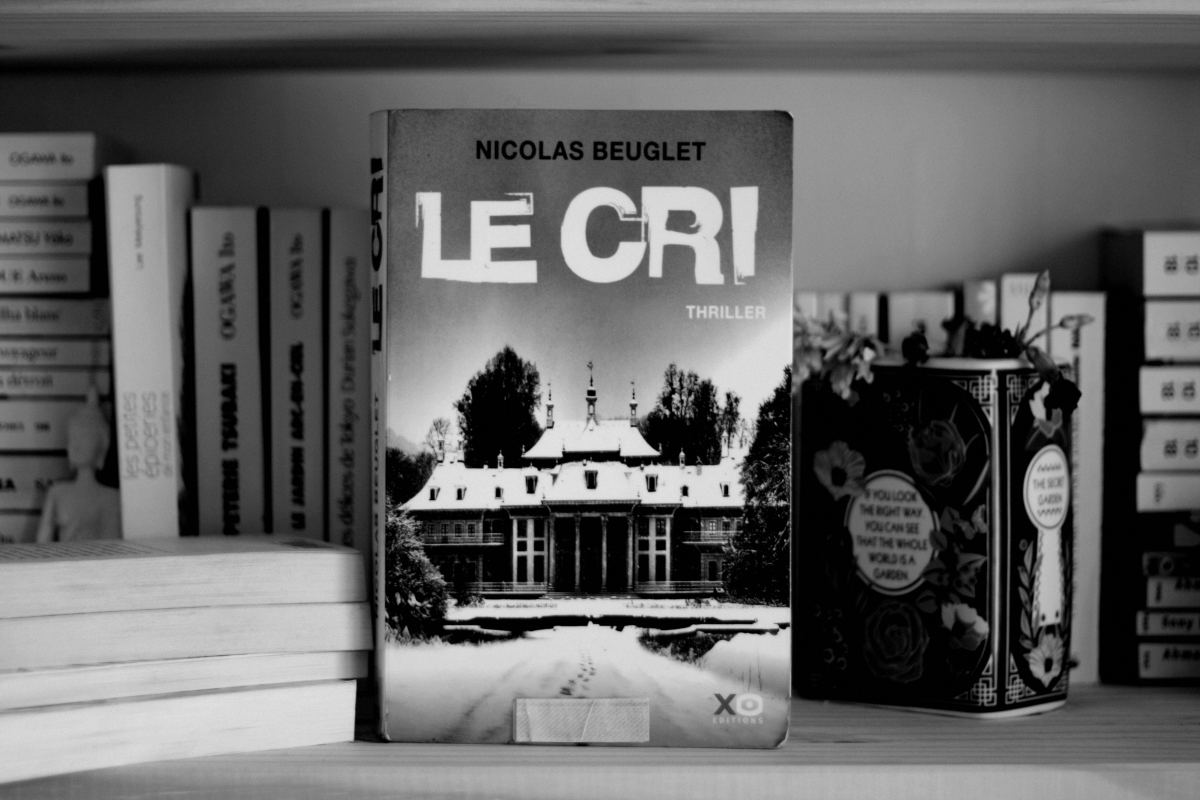 Séjour enneigé à l&rsquo;asile de Gaustad avec le cri de Nicolas Beuglet