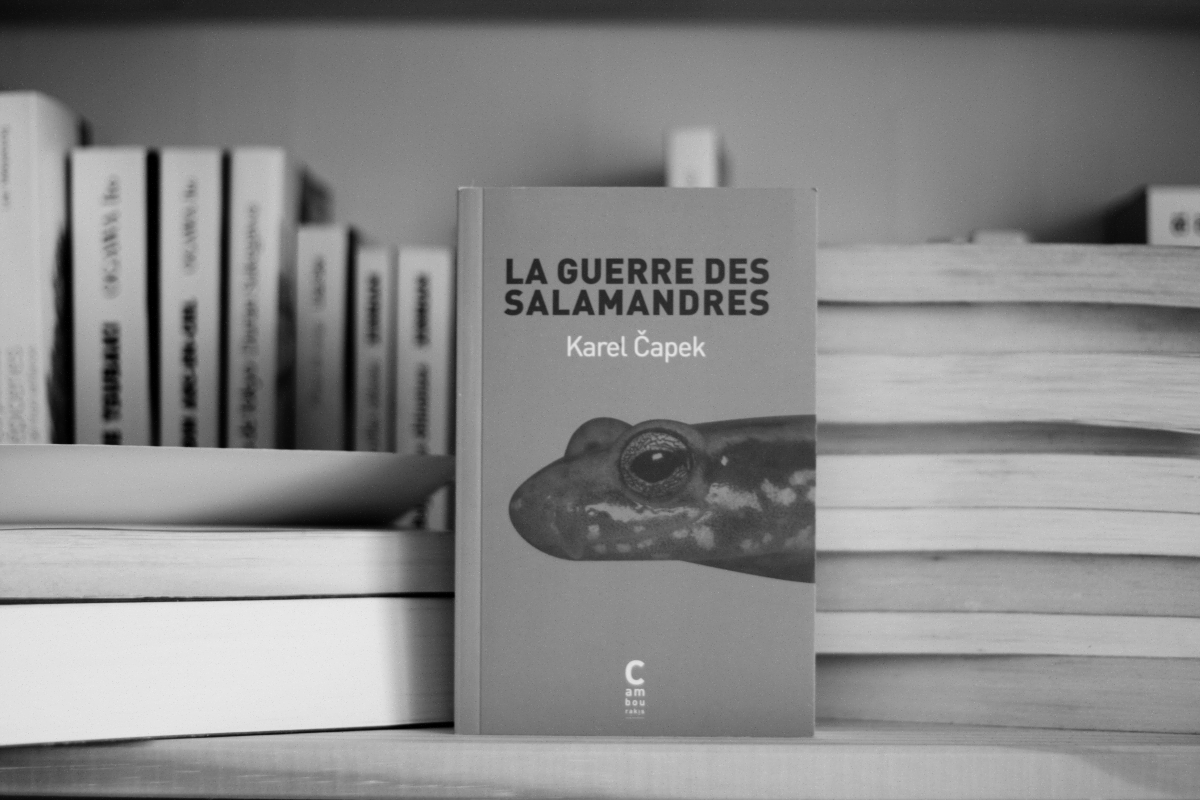 L’irrésistible conte absurde La guerre des salamandres de Karel Capek